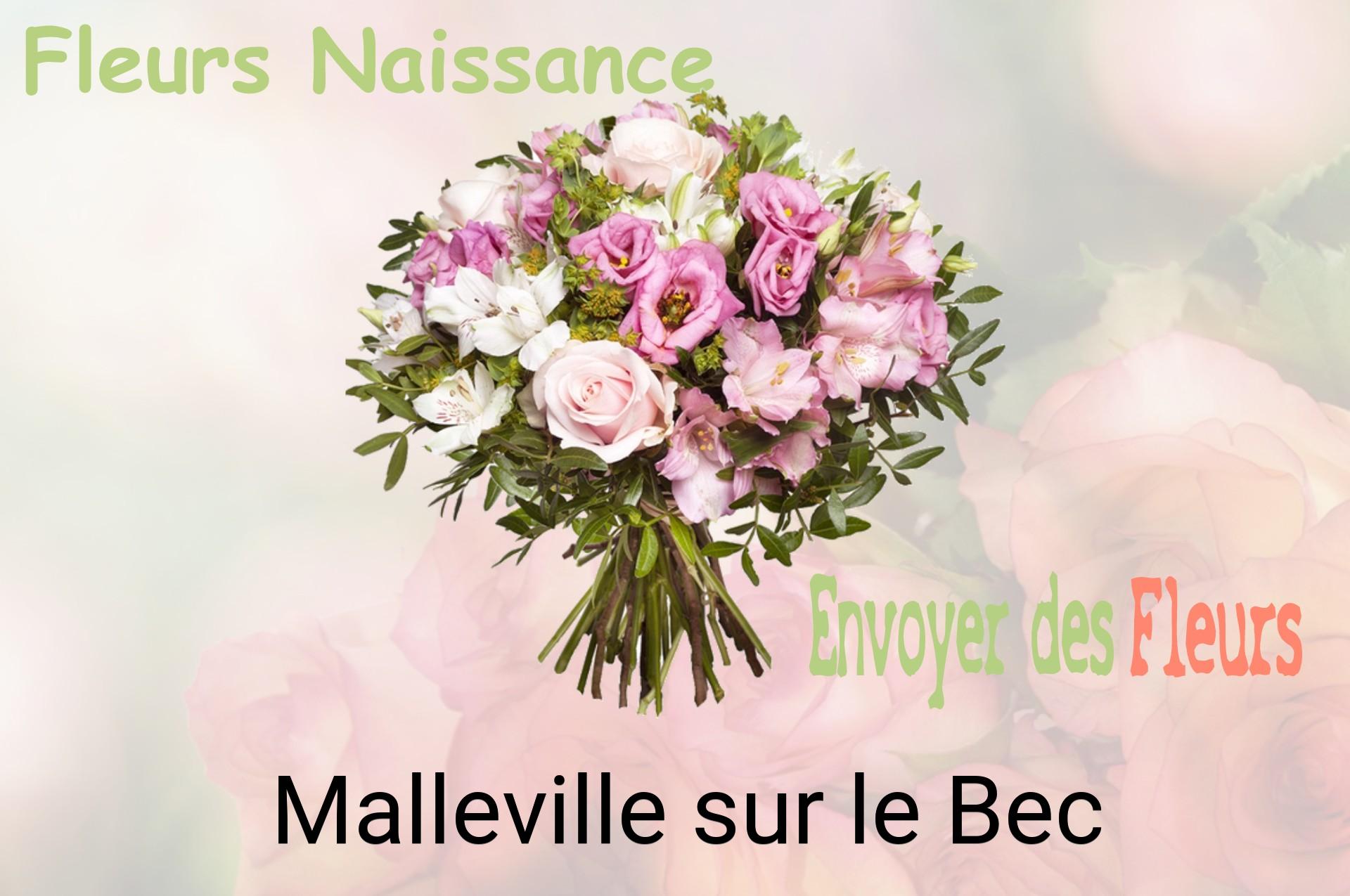 Bouquet de fleurs de naissance livré à Malleville-sur-le-Bec