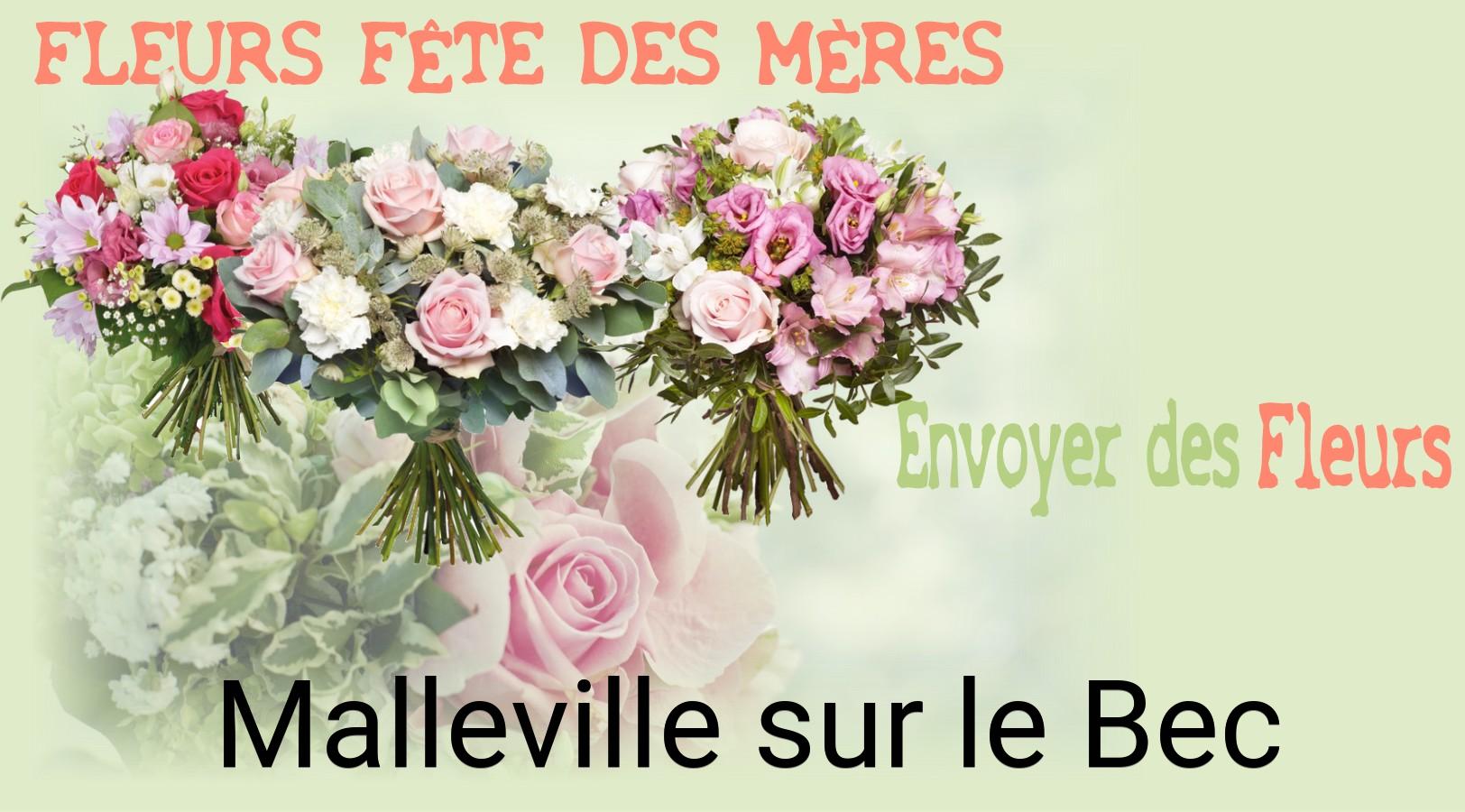 Bouquet de Fête des Mères livré à Malleville-sur-le-Bec